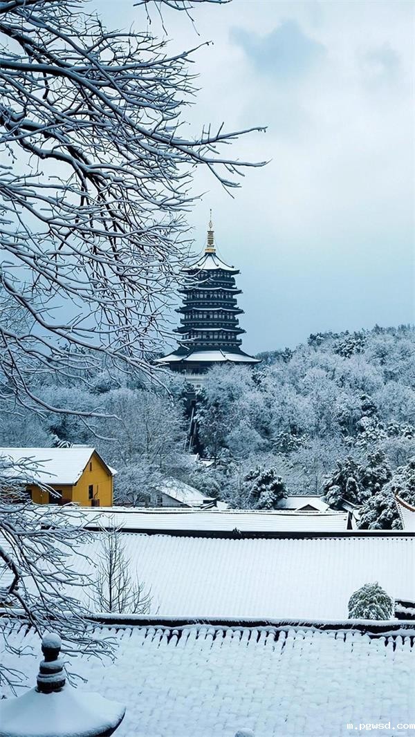 优米官网下载app,软启动器